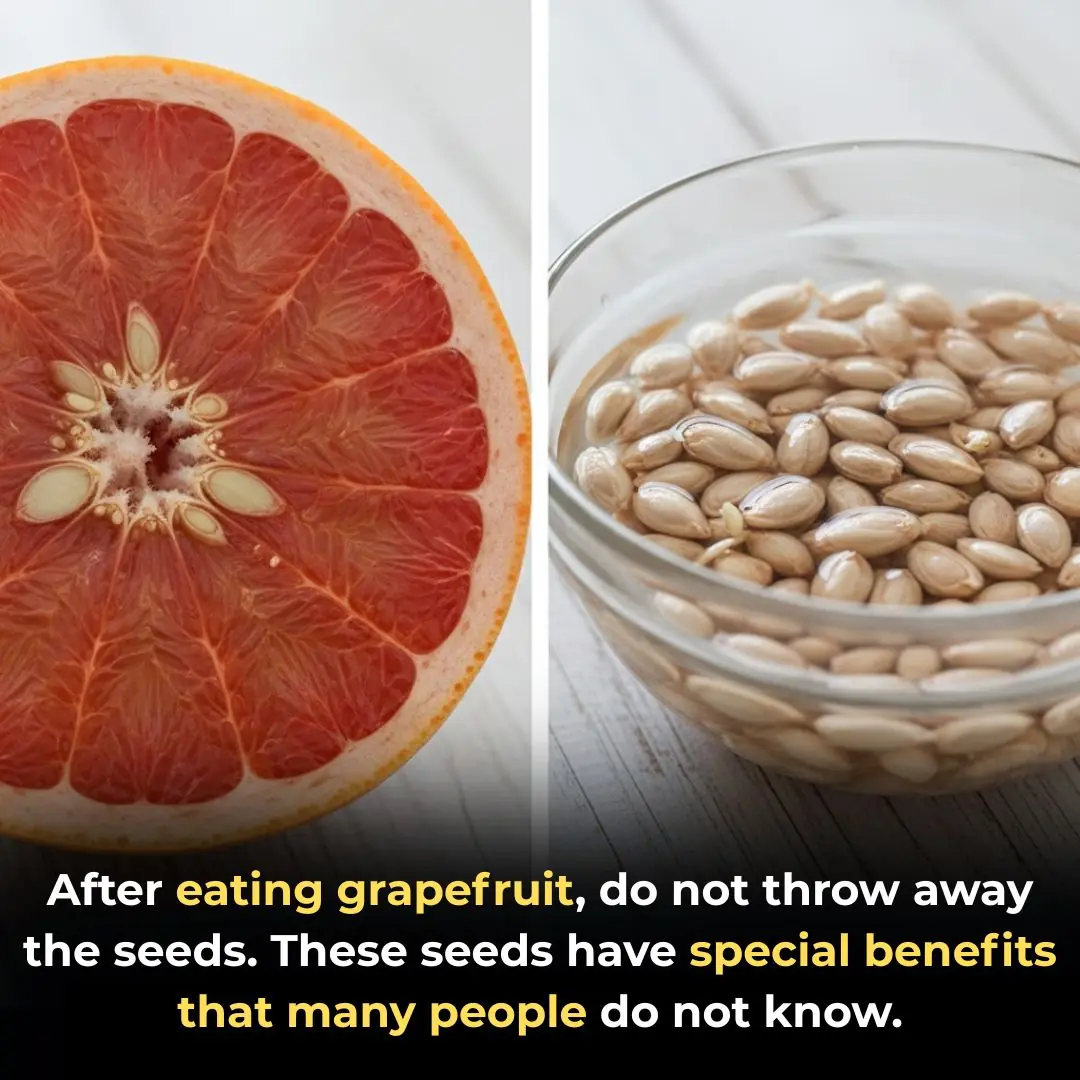 After eating grapefruit, do not throw away the seeds. These seeds have special benefits that many people do not know.