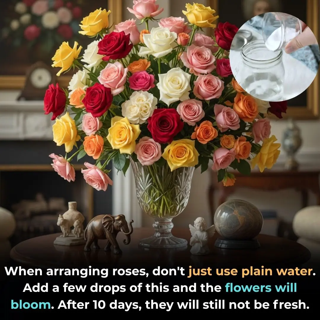 When arranging roses, don't just use plain water. Add a few drops of this and the flowers will bloom. After 10 days, they will still not be fresh.