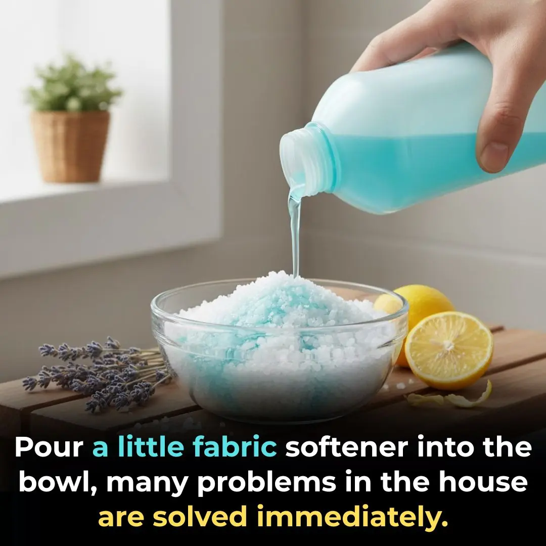 Pour a little fabric softener into the bowl, many problems in the house are solved immediately.