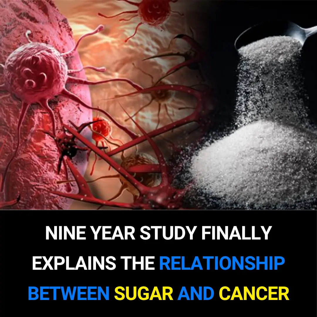 Nine-Year Study Finally Clarifies the Link Between Sugar and Cancer