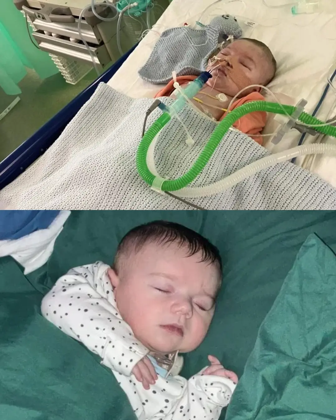 Clay’s Brave Heart: A Mother’s Journey Through Love, Loss, and Courage