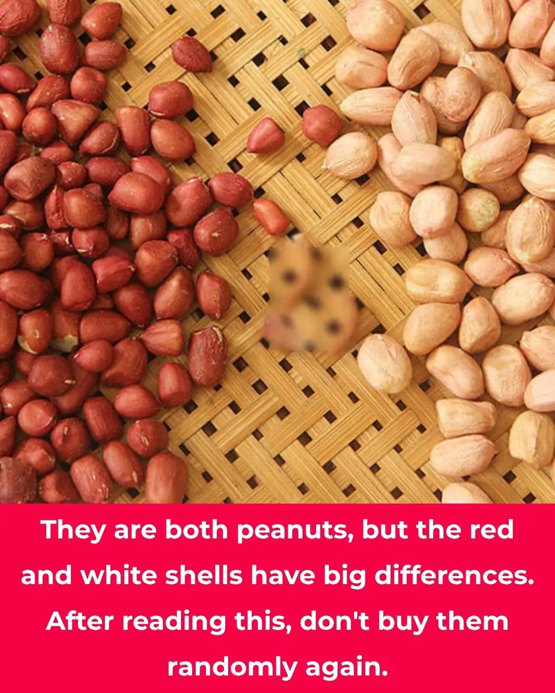 They are both peanuts, but the red and white shells have big differences. After reading this, don't buy them randomly again.