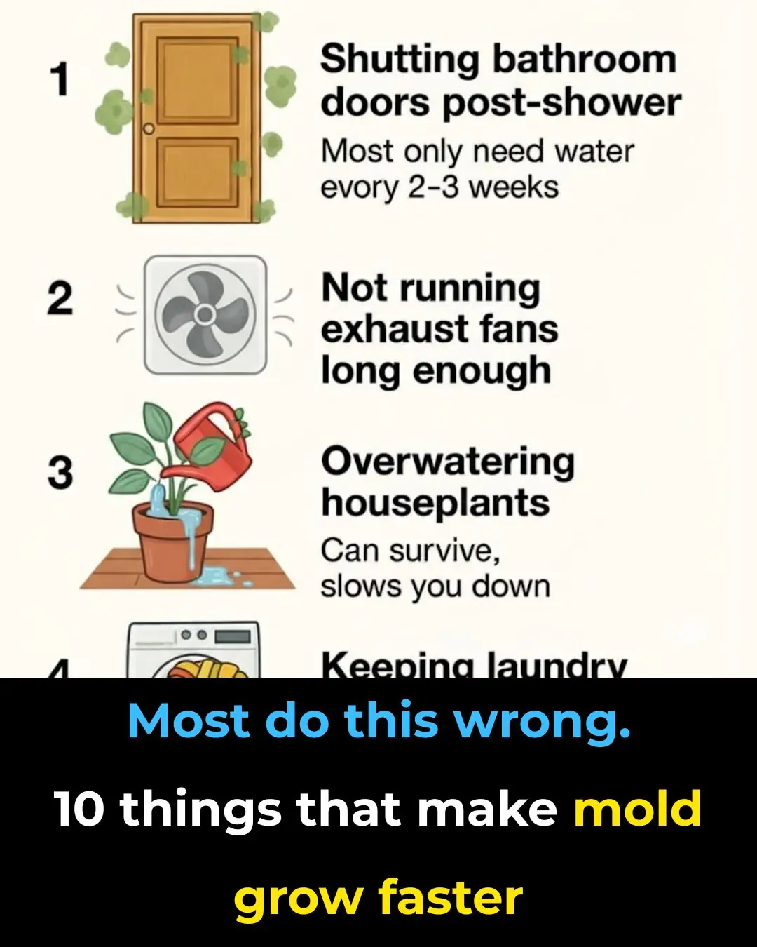 Most do this wrong. 10 things that make mold grow faster