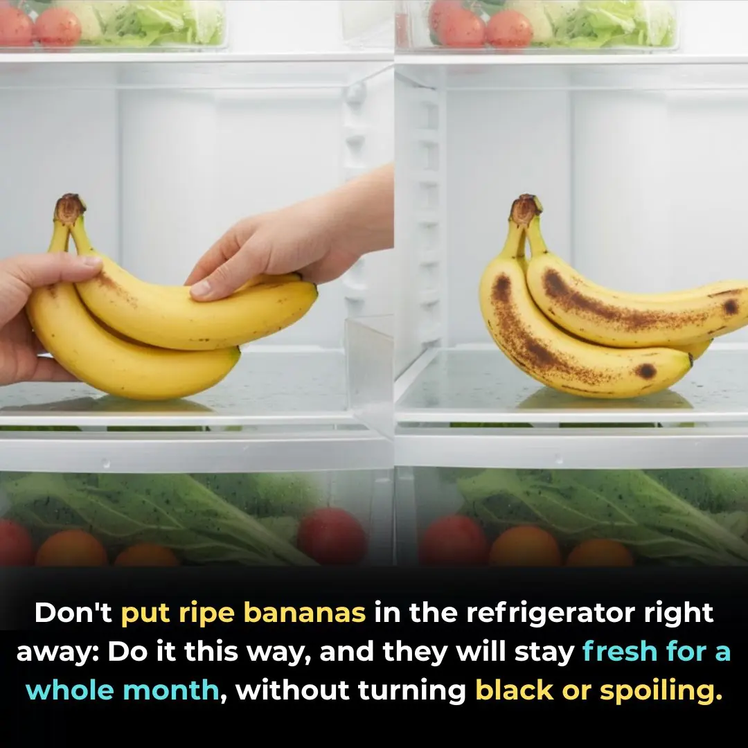 Don't put ripe bananas in the refrigerator right away: Do it this way, and they will stay fresh for a whole month, without turning black or spoiling.