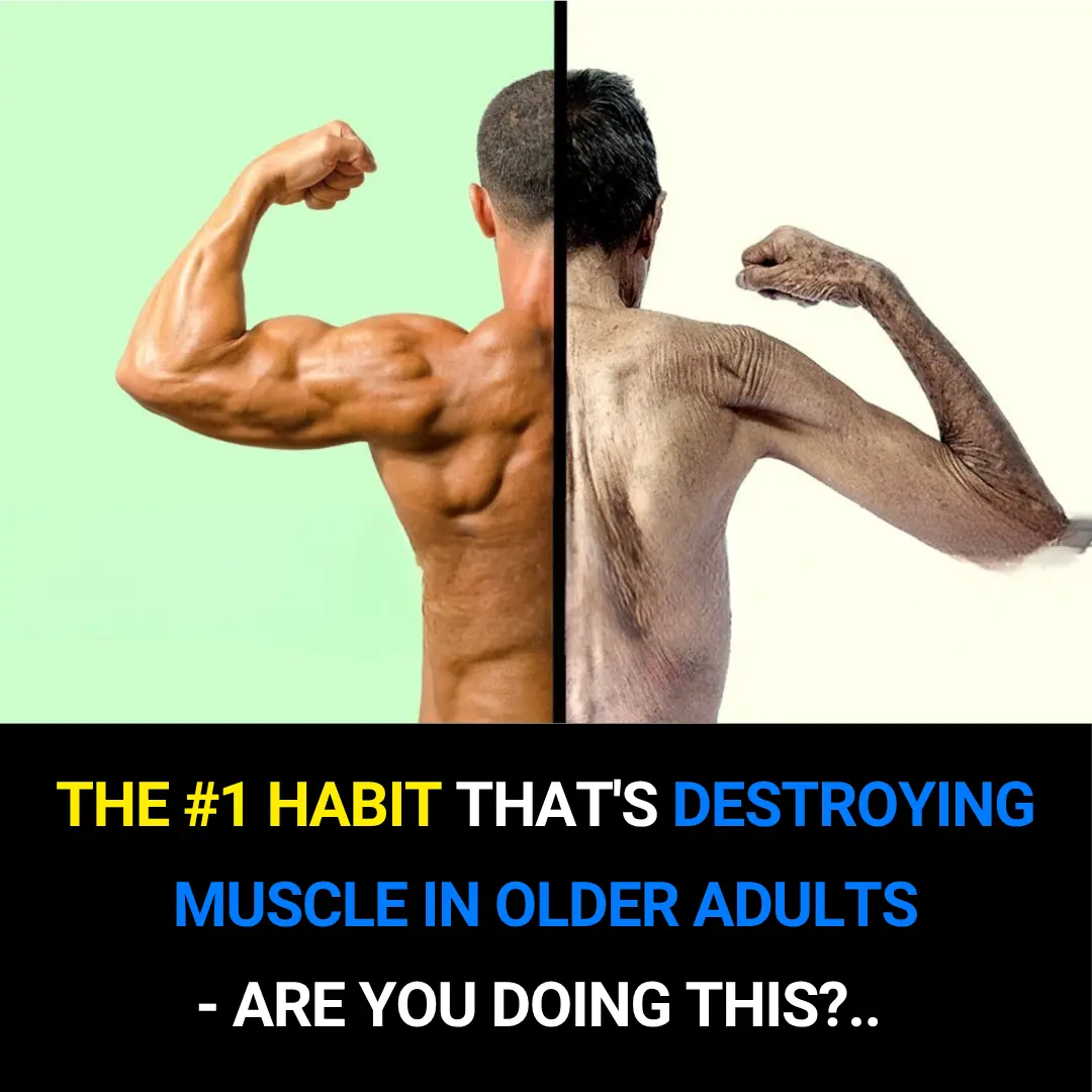 The #1 Habit That’s Quietly Destroying Muscle in Older Adults — Are You Guilty of This?