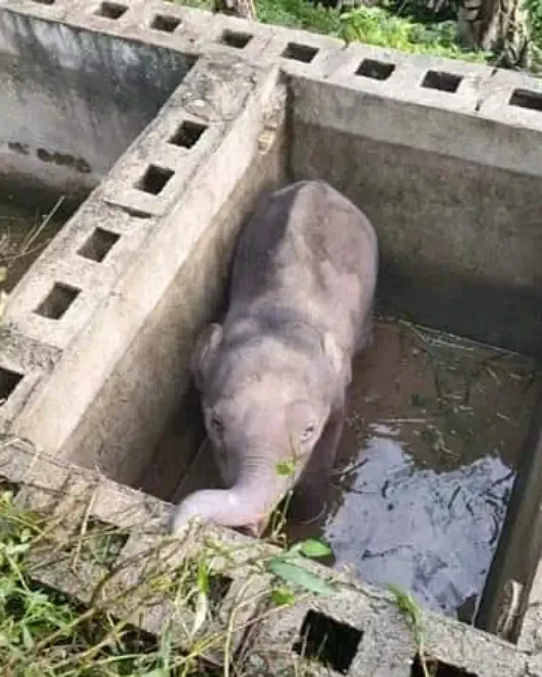 Twelve Hours in the Pit — and a Mother’s Love That Never Gave Up.