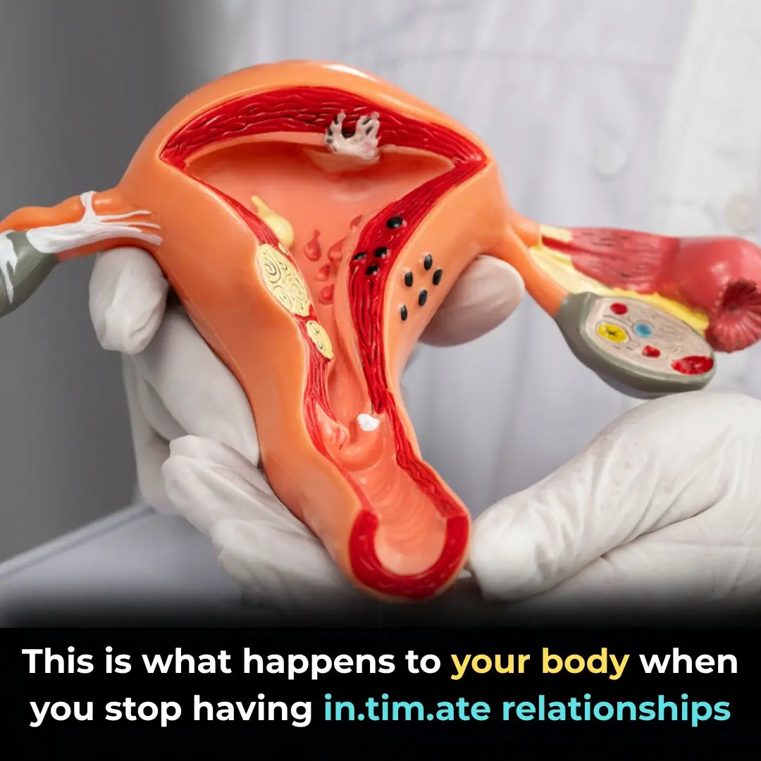 The Hidden Consequences of a S*xless Life