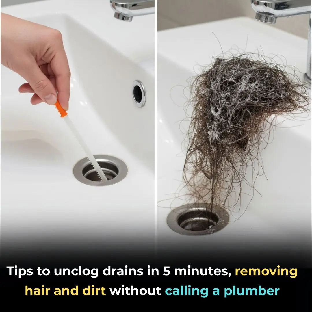 Tips to unclog drains in 5 minutes, removing hair and dirt without calling a plumber