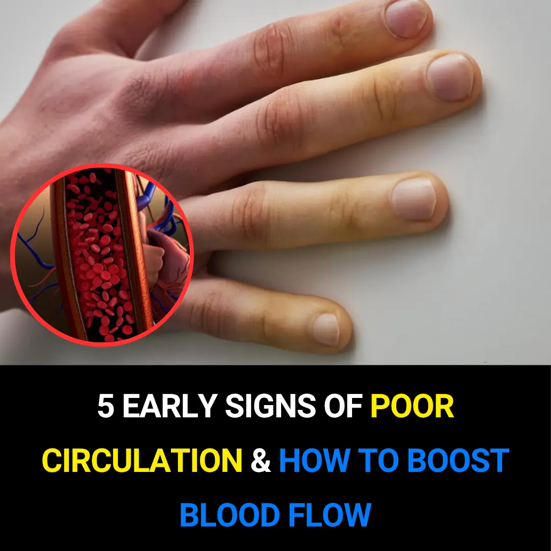 5 Early Signs of Poor Circulation (and How to Boost Blood Flow)