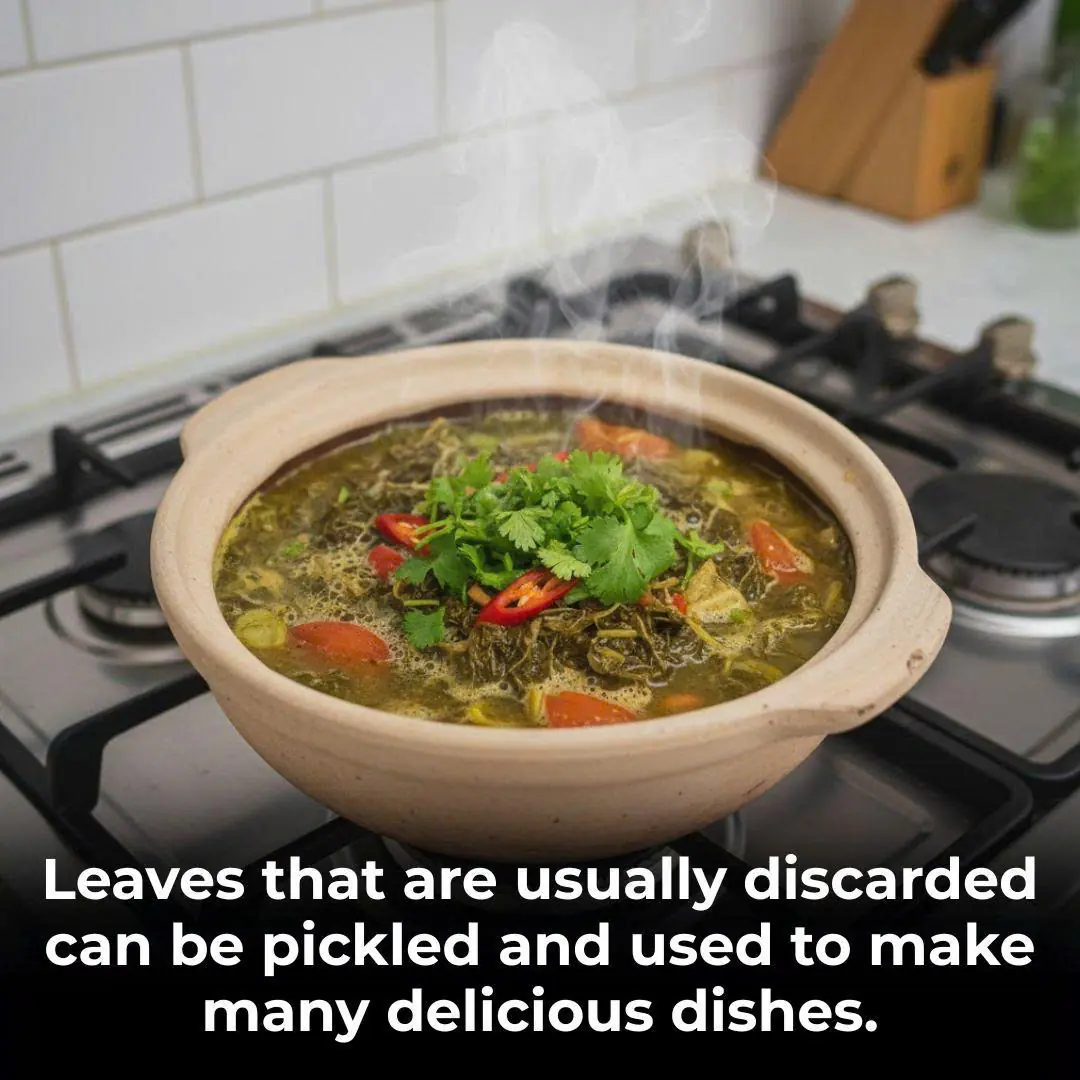 Leaves that are usually discarded can be pickled and used to make many delicious dishes.