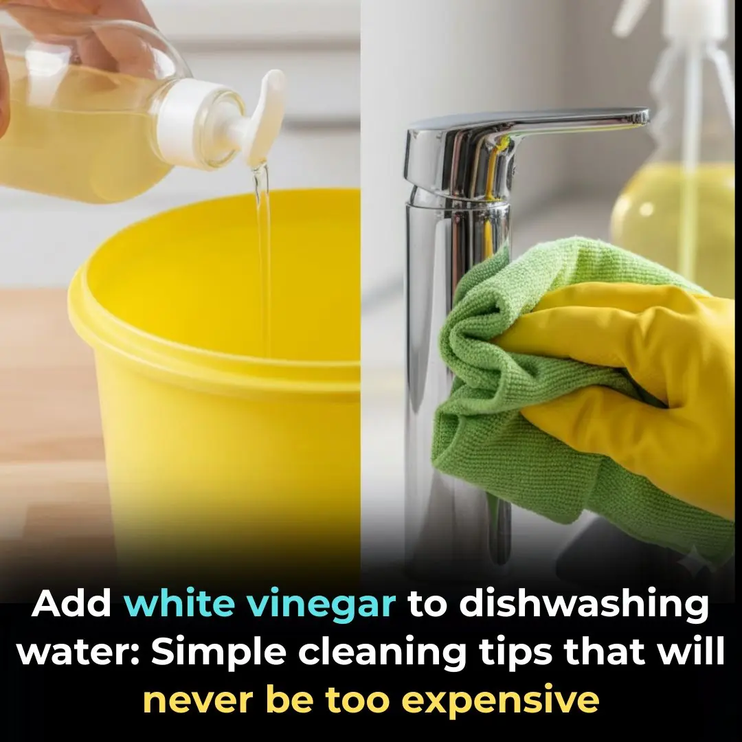 Add White Vinegar to Dishwashing Liquid: A Simple Yet Brilliant Home Tip Everyone Should Know