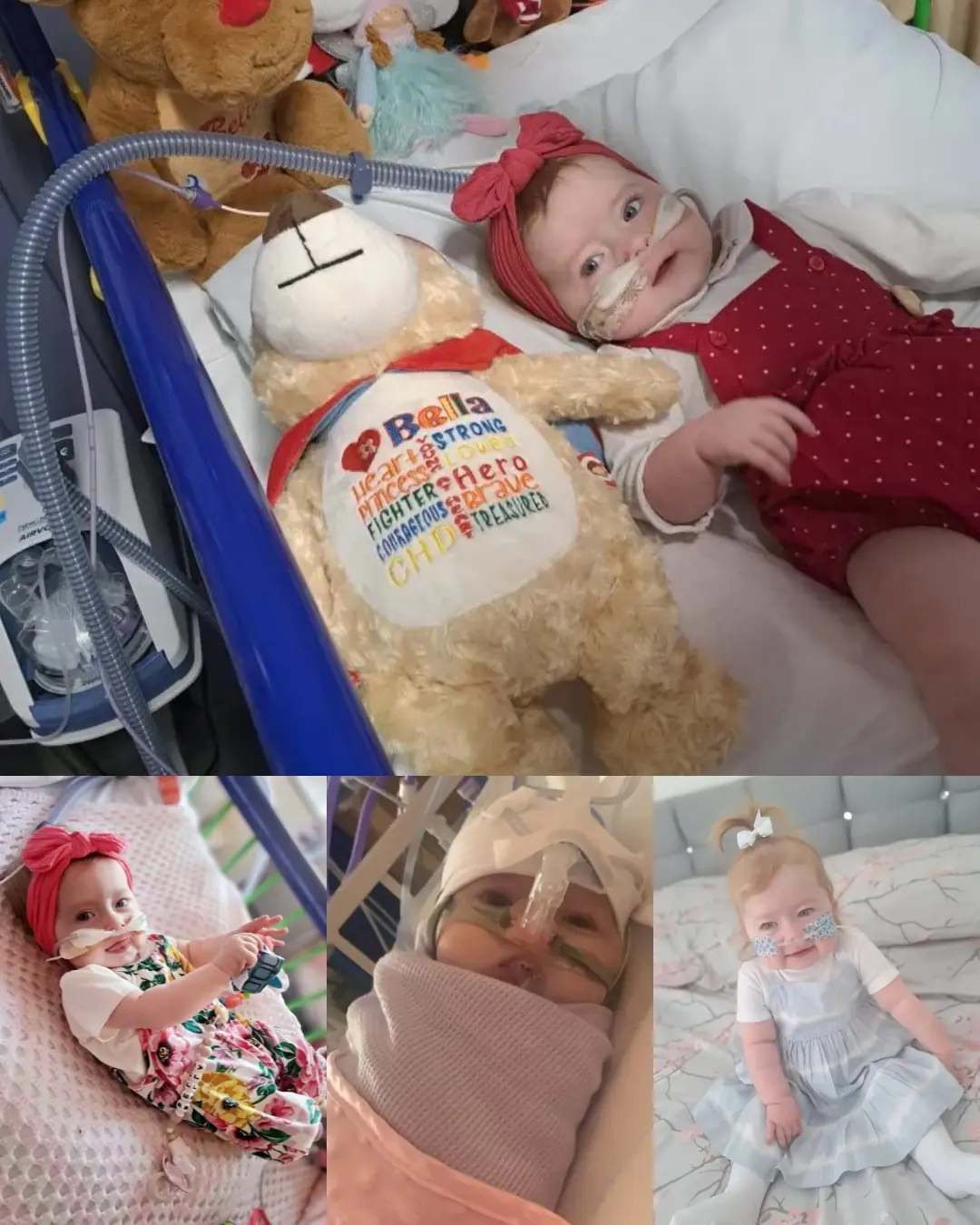 Bella, Our Little Fighter: A Story of Hope, Heart, and Resilience