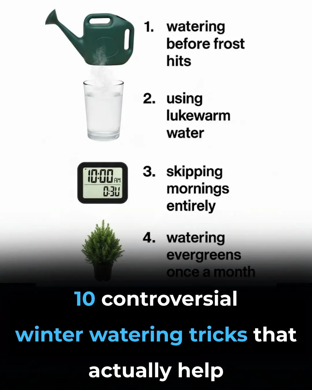 10 Controversial Winter Watering Tricks That Actually Work