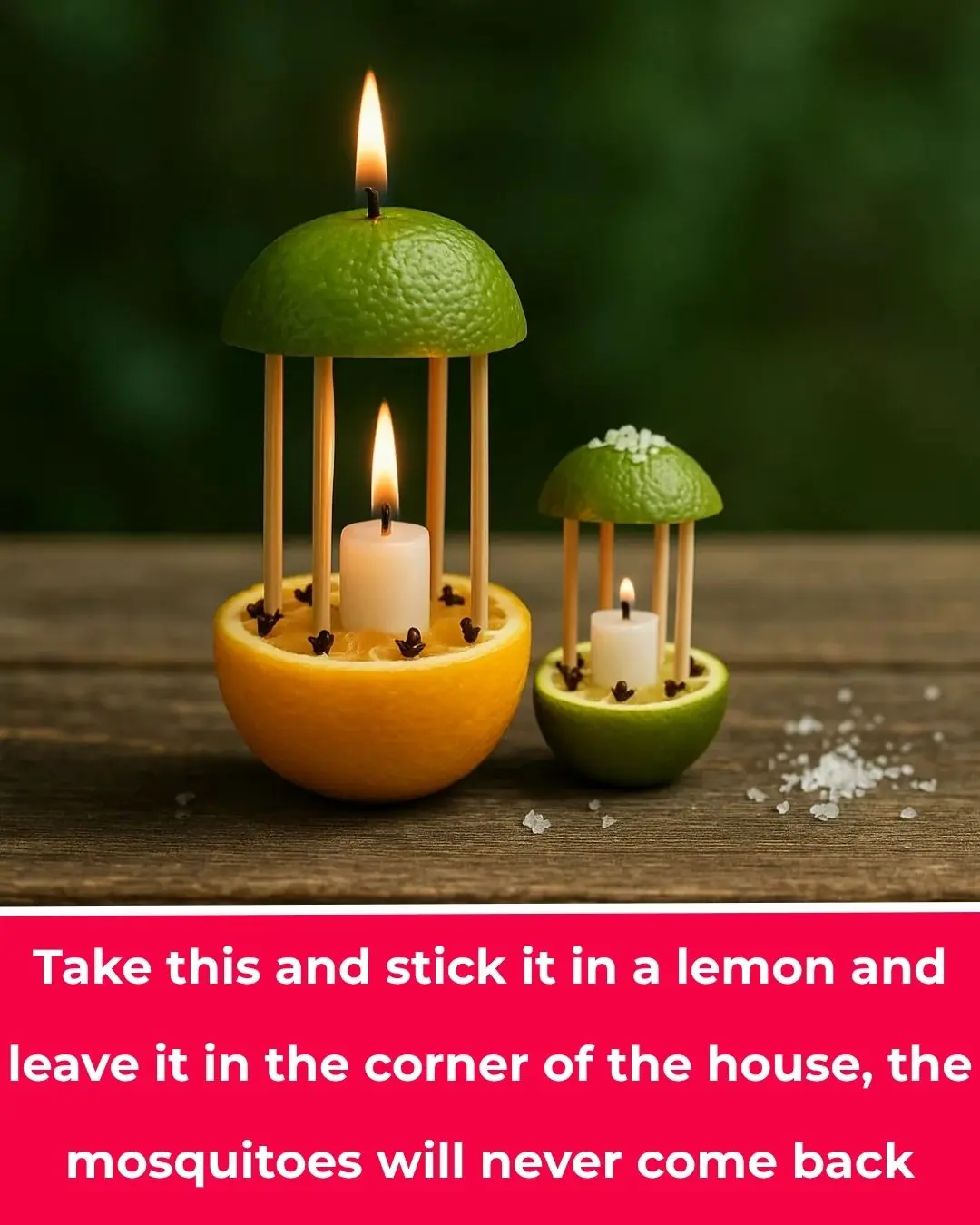 Put this thing in a lemon and put it in the corner of the house