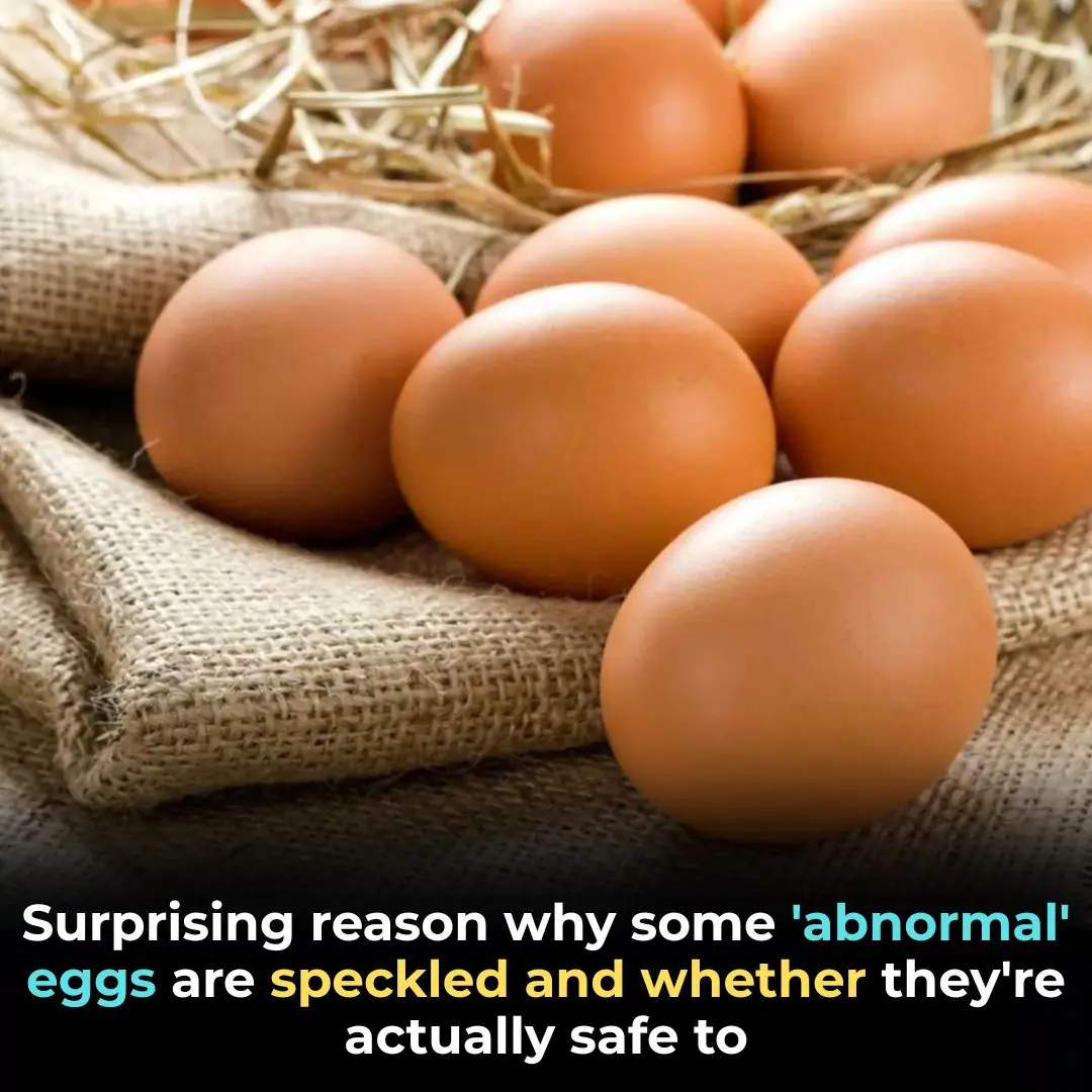 Why Some Eggs Are Speckled