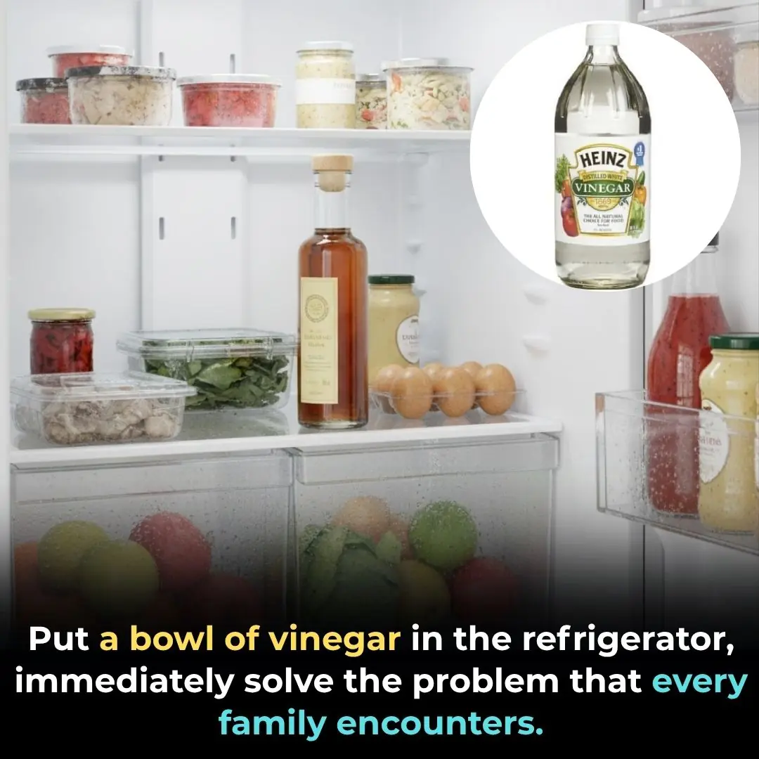 Put a bowl of vinegar in the refrigerator, immediately solve the problem that every family encounters.