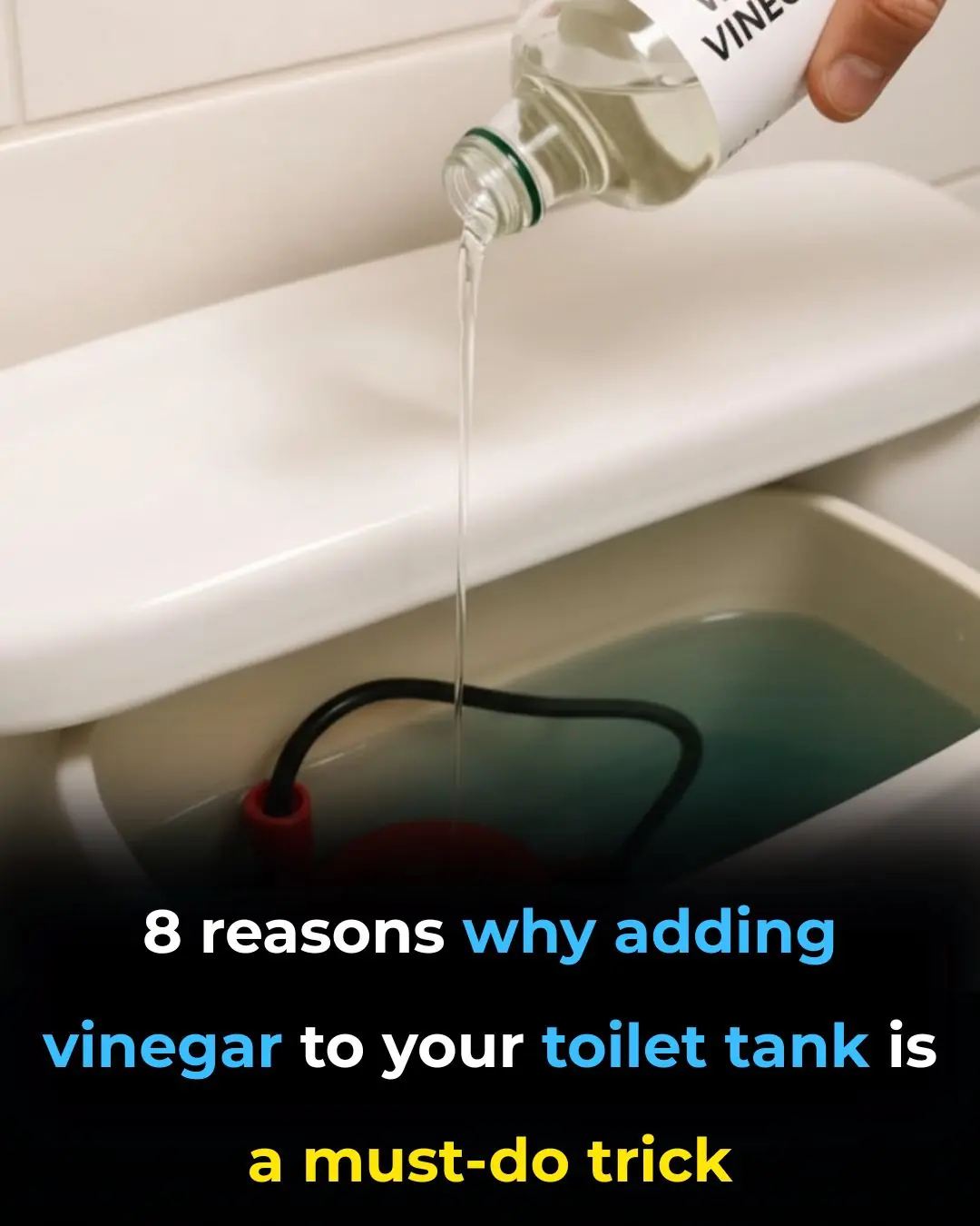 8 reasons why adding vinegar to your toilet tank is a must-do trick