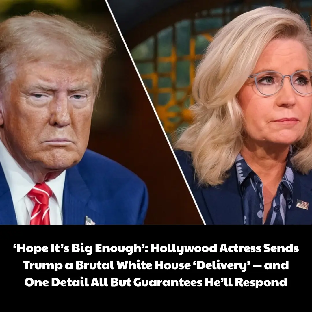 ‘Hope It’s Big Enough’: Hollywood Actress Sends Trump a Brutal White House ‘Delivery’ — and One Detail All But Guarantees He’ll Respond