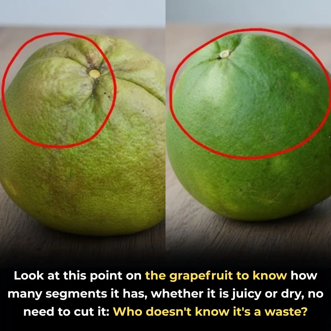 Look at this point on the grapefruit to know how many segments it has, whether it is juicy or dry, no need to cut it: Who doesn't know it's a waste?