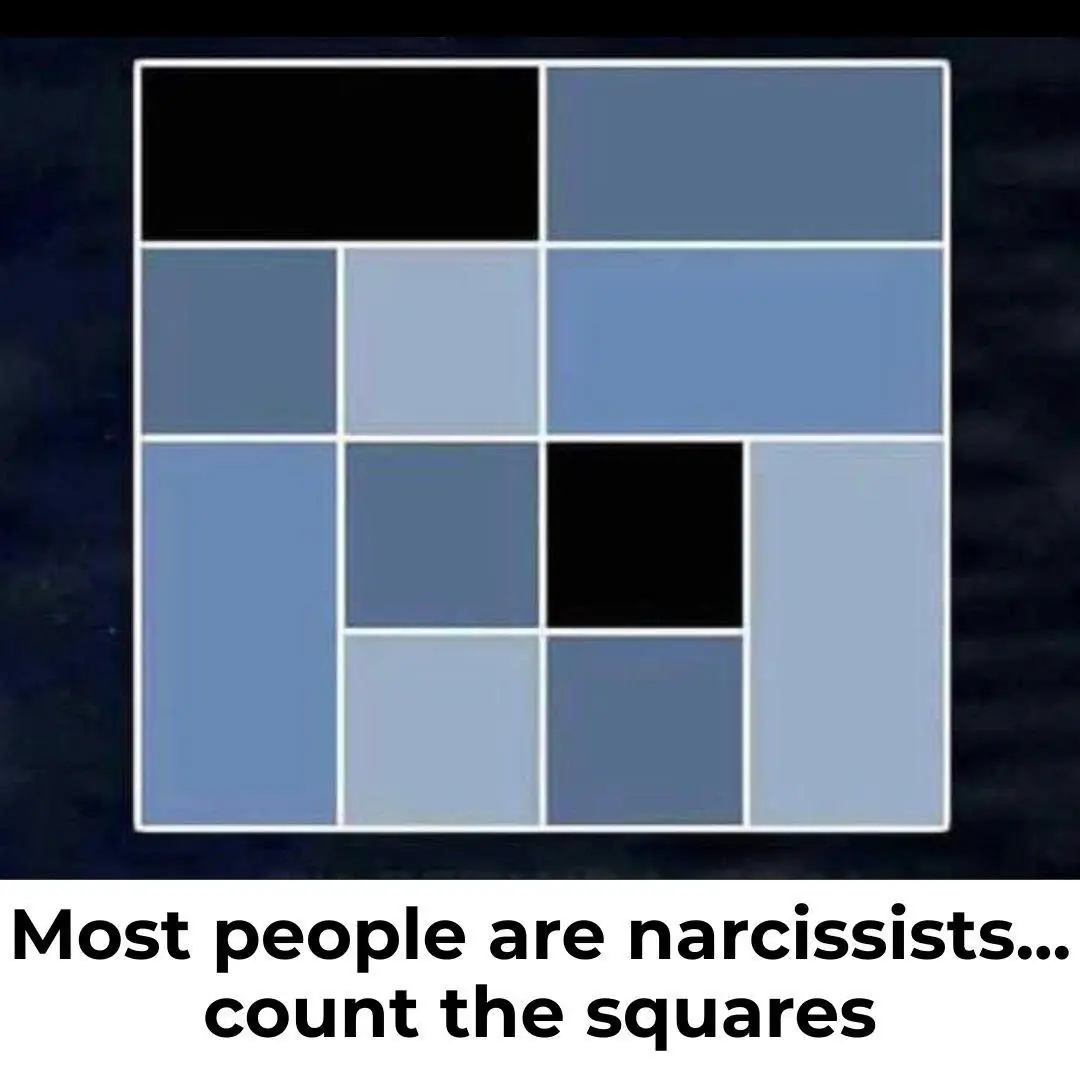 Count The Squares