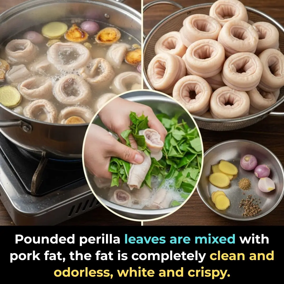 Pounded perilla leaves are mixed with pork fat, the fat is completely clean and odorless, white and crispy