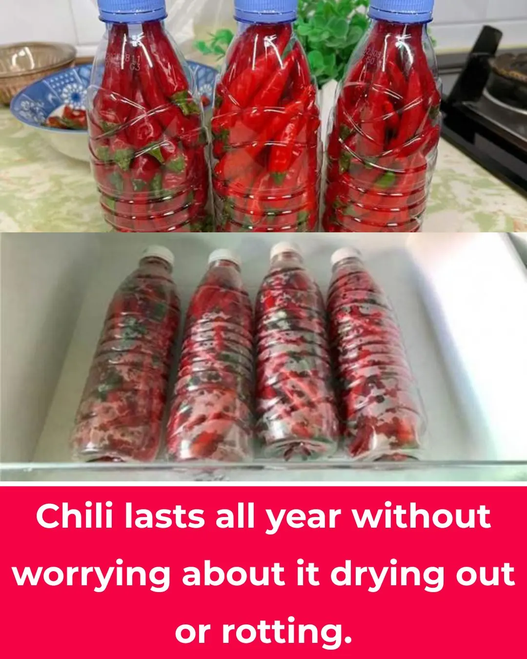 How to store chili peppers for several months so they stay as fresh as when picked, with plump flesh that doesn’t dry out and retains its flavor