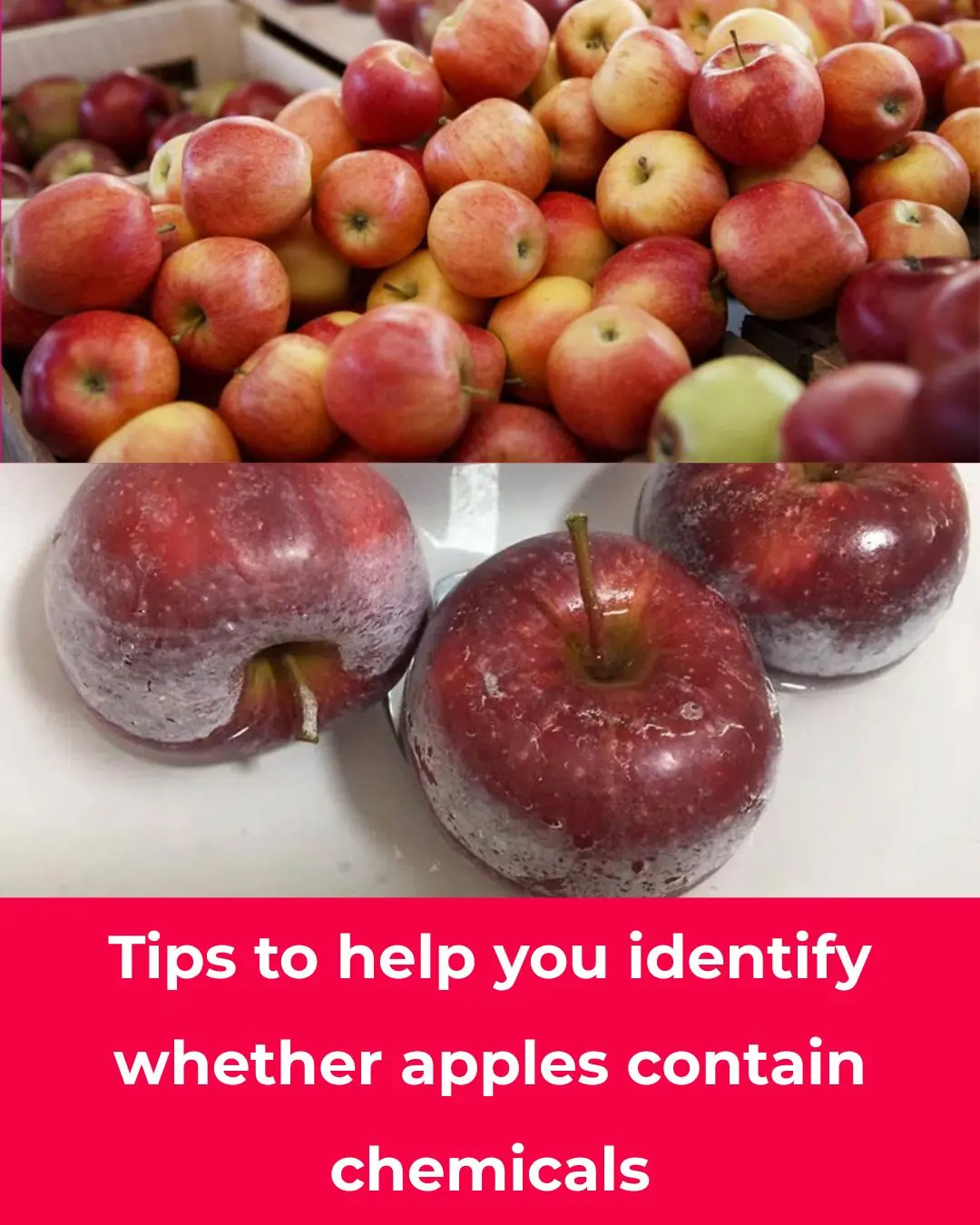 Tips to help you identify whether apples contain chemicals