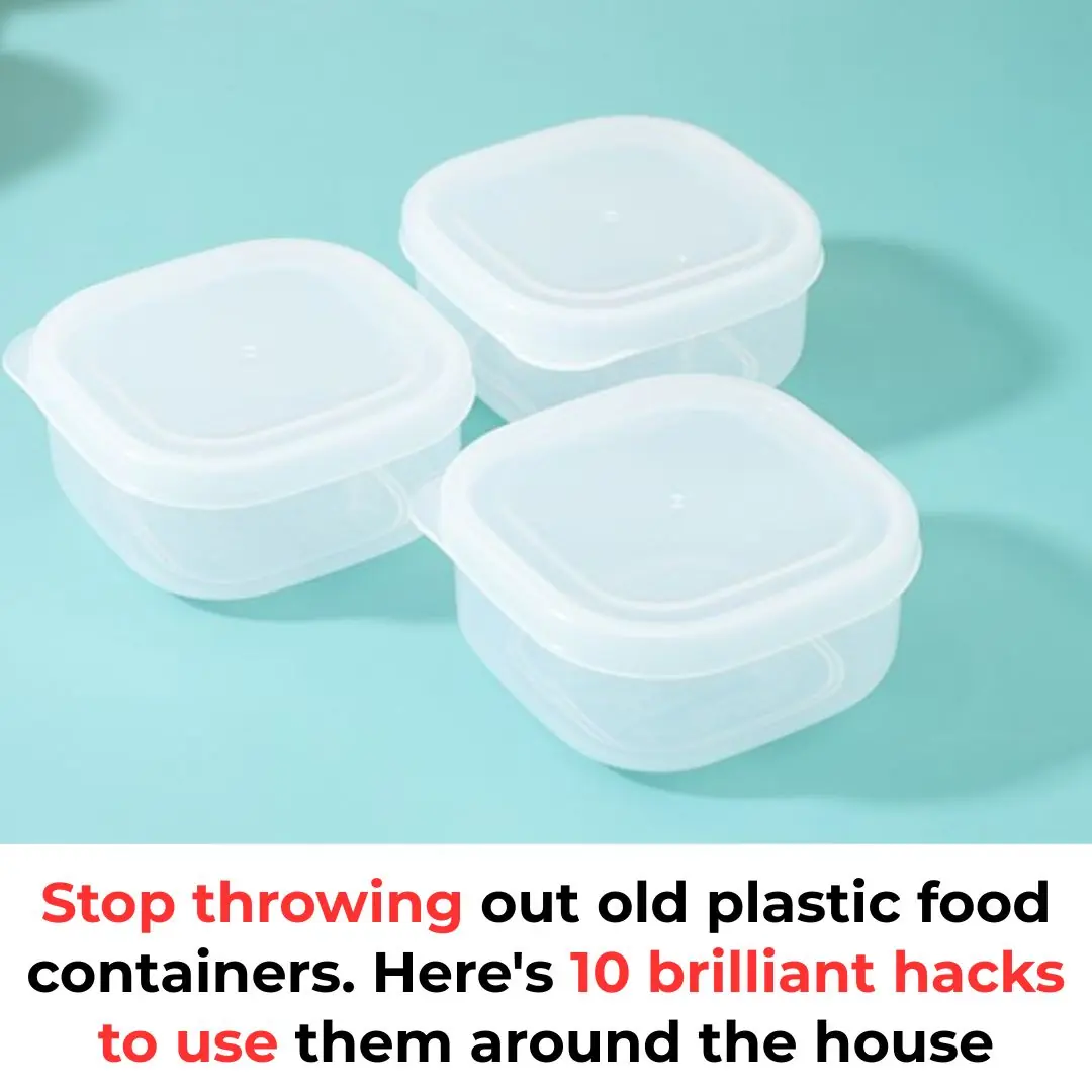 10 Brilliant Ways to Reuse Plastic Food Containers and Reduce Waste