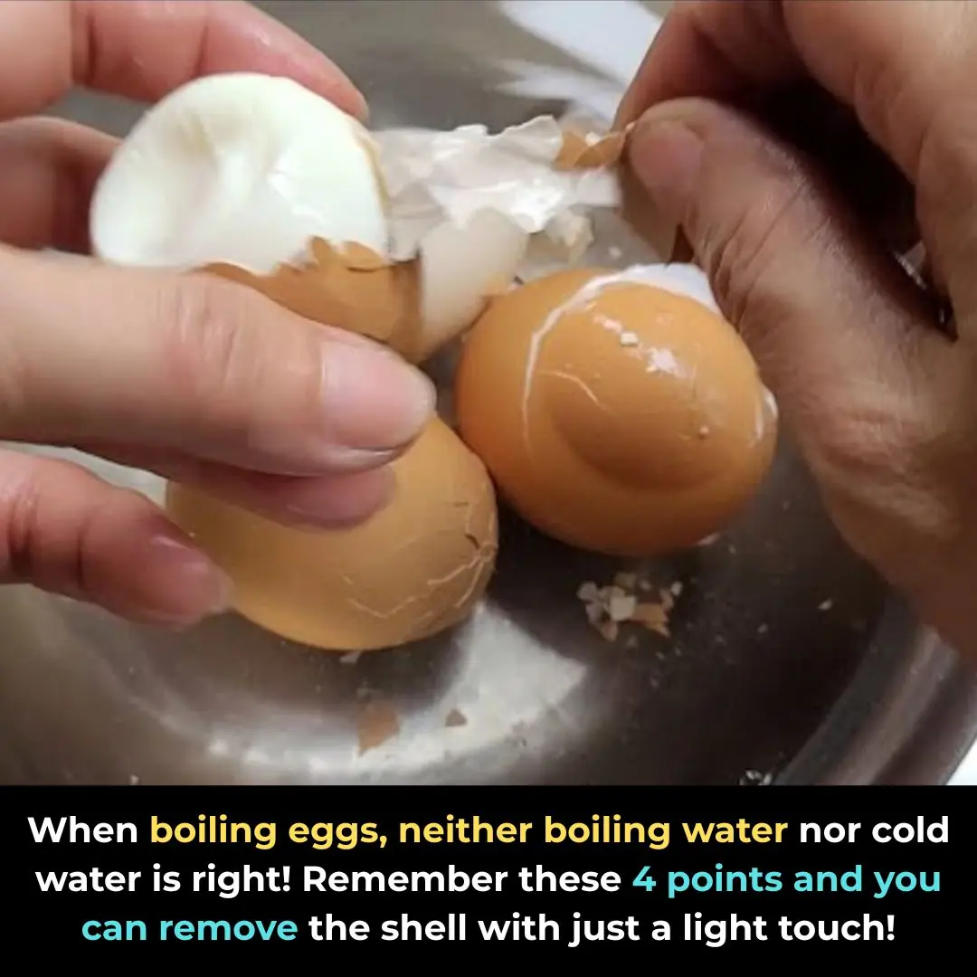 How to Boil Eggs Perfectly: 4 Key Tips for Soft, Delicious, and Easy-to-Peel Eggs