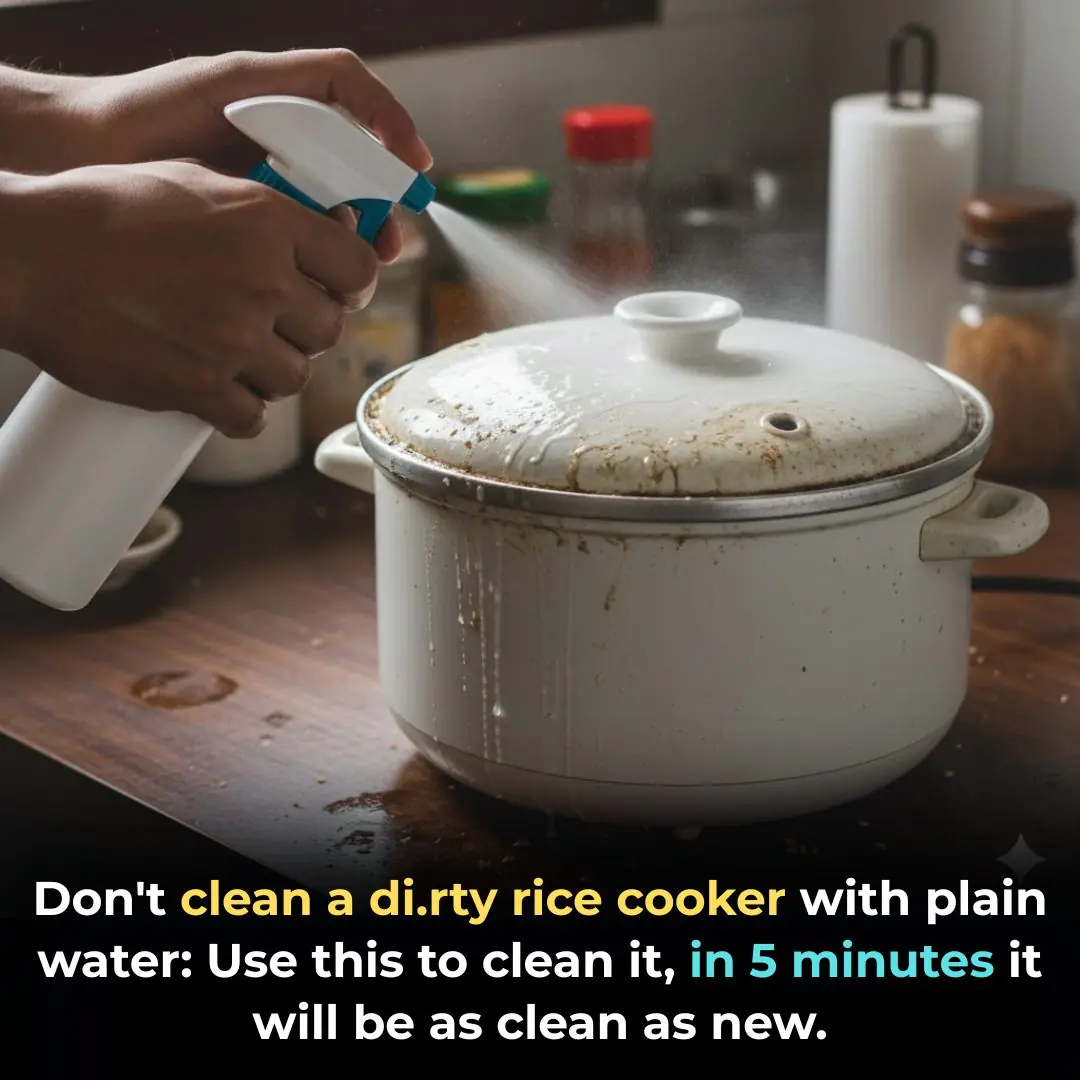 How to Clean a Dirty Rice Cooker: Don’t Use Plain Water – This Simple Solution Gets It Sparkling in 5 Minutes