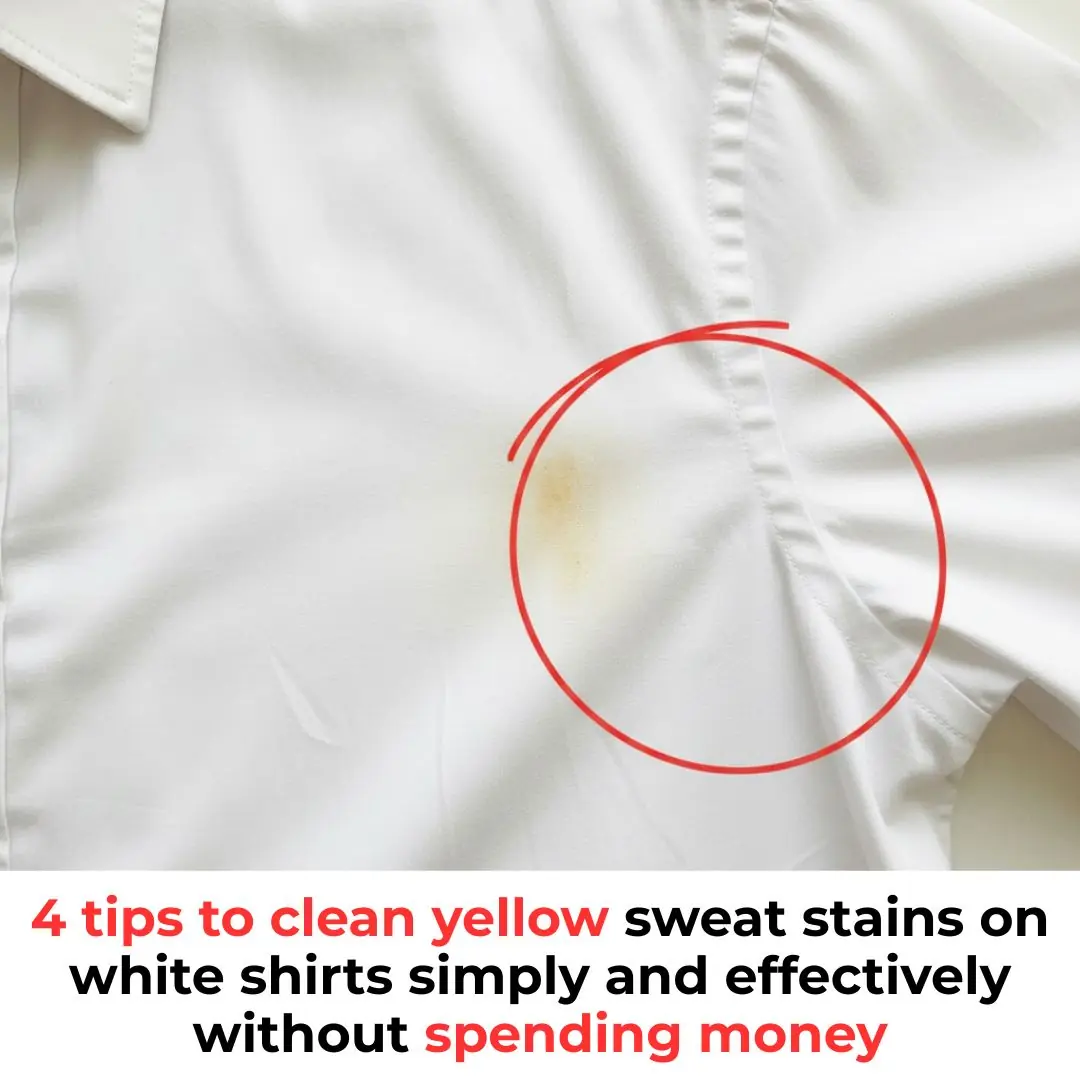 4 tips to clean yellow sweat stains on white shirts