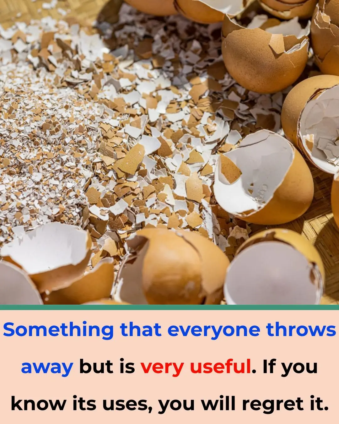 The Everyday Waste You Should Stop Throwing Away — Eggshells Have Amazing Hidden Uses