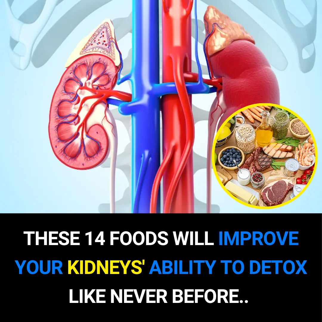 14 Foods That Naturally Boost Your Kidneys’ Detox Power Like Never Before
