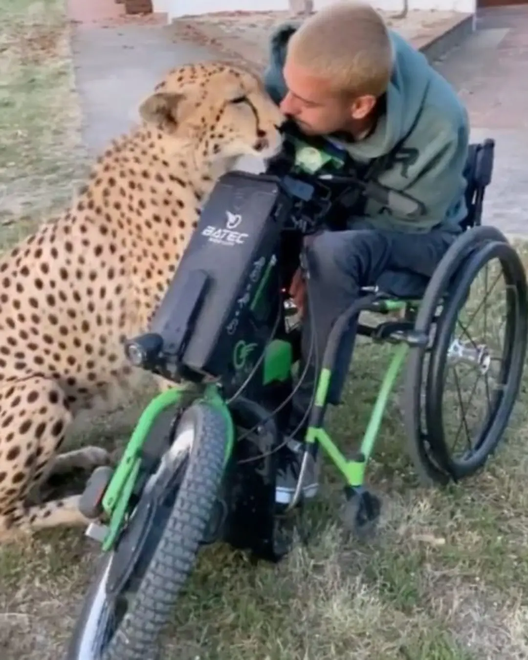 The Racer and the Cheetah.