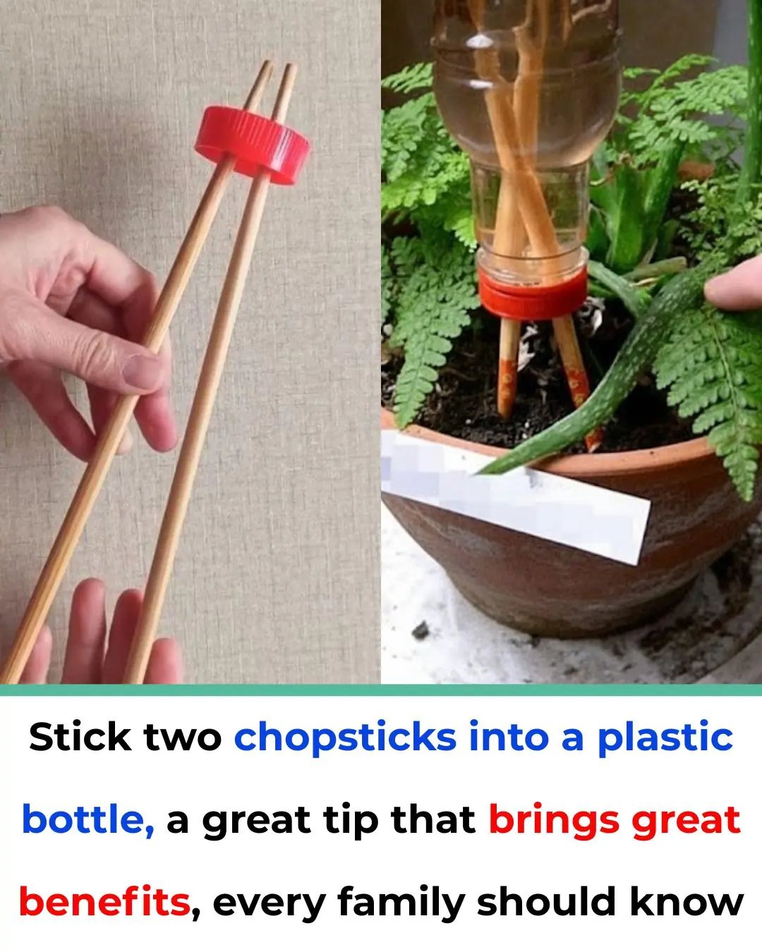 Insert Two Chopsticks into a Plastic Bottle: A Simple Life Hack Every Household Should Know