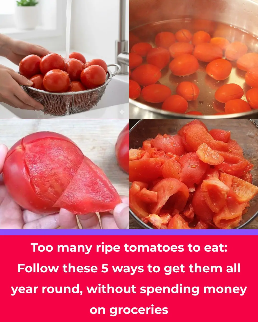 Too Many Ripe Tomatoes? Try These 5 Preservation Methods to Enjoy Them All Year — Without Spending on Fresh Ones