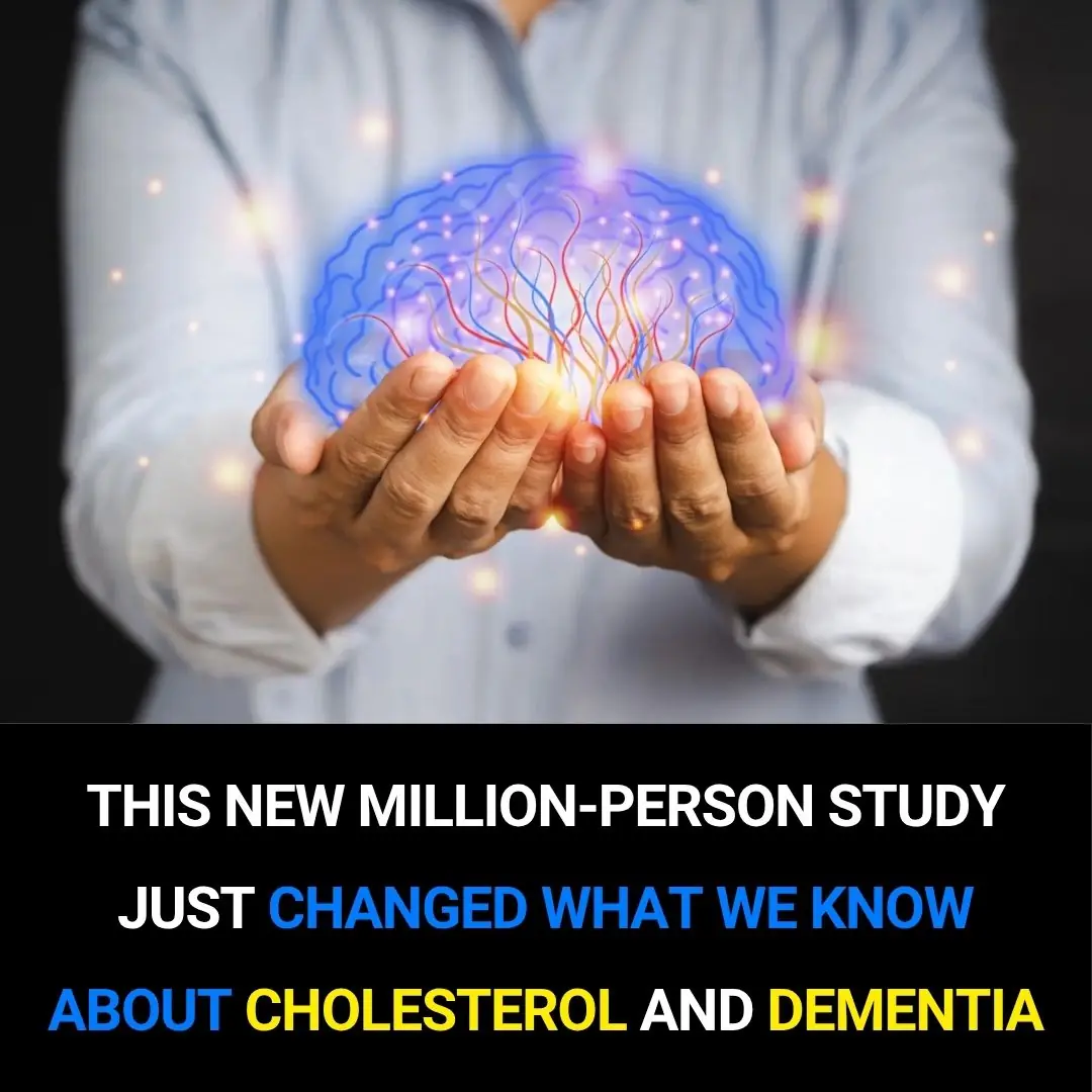This New Million-Person Study Just Changed What We Know About Cholesterol and Dementia