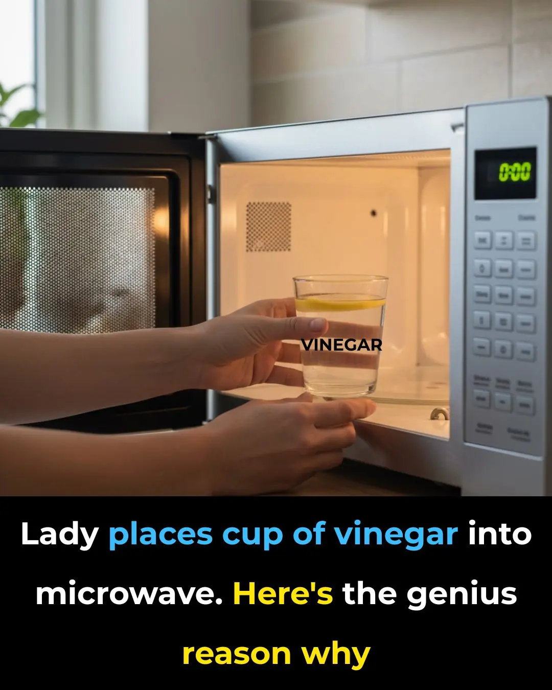 Lady Puts a Cup of Vinegar in the Microwave — and the Reason Is Brilliant