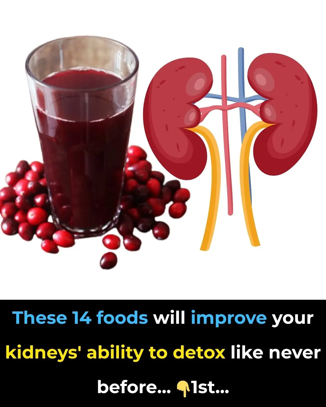 These 14 Foods Will Improve Your Kidneys’ Ability To Detox Like Never Before!