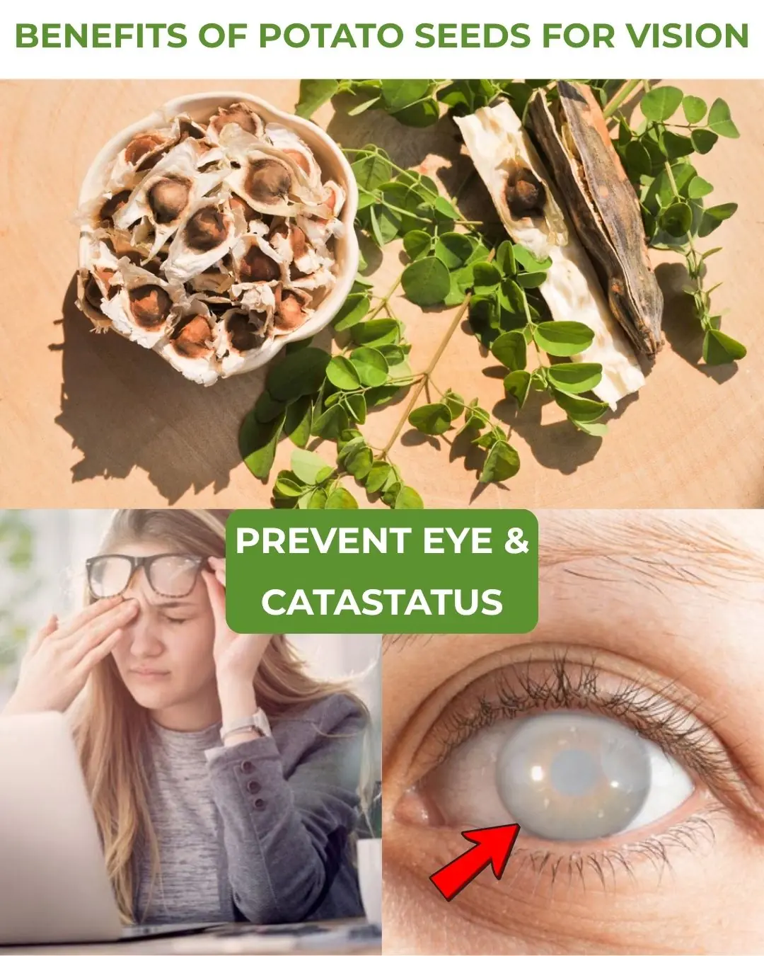 The Hidden Power of Moringa: Benefits for Health and Vision