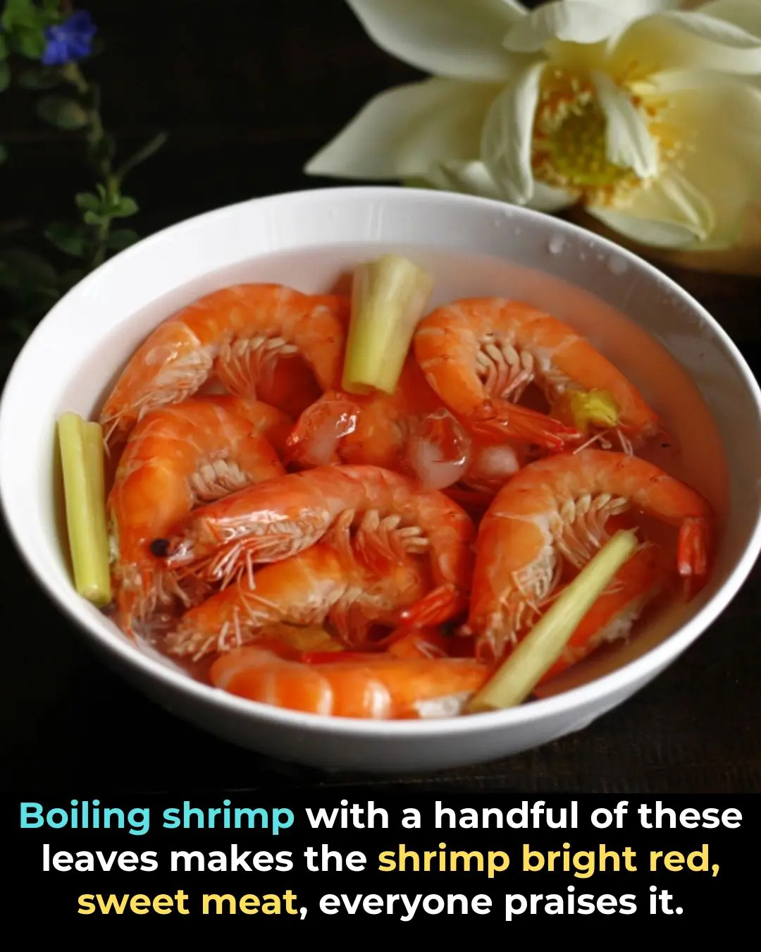 Boiling shrimp with a handful of these leaves makes the shrimp bright red, sweet meat, everyone praises it.