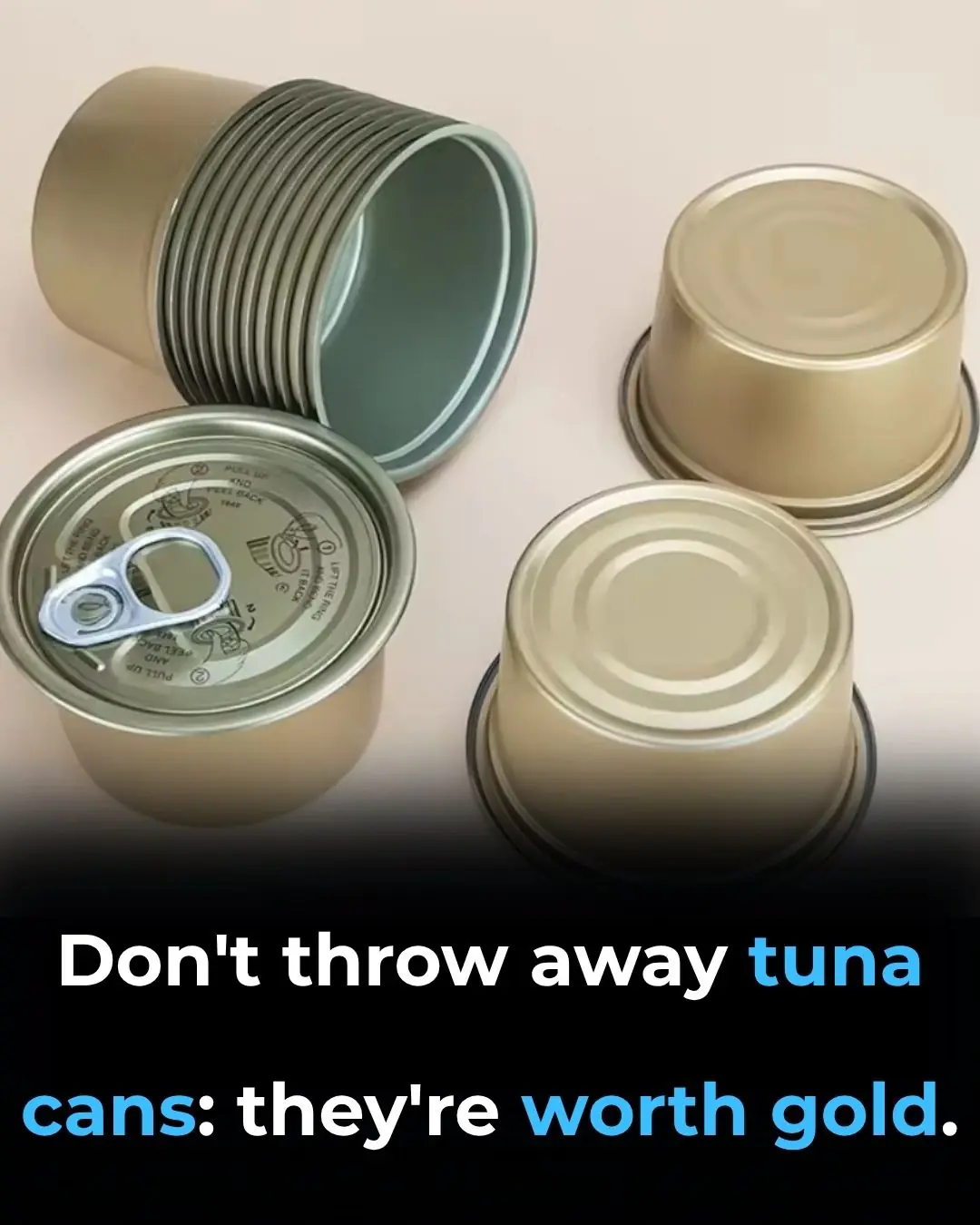 Don’t Toss That Tuna Can