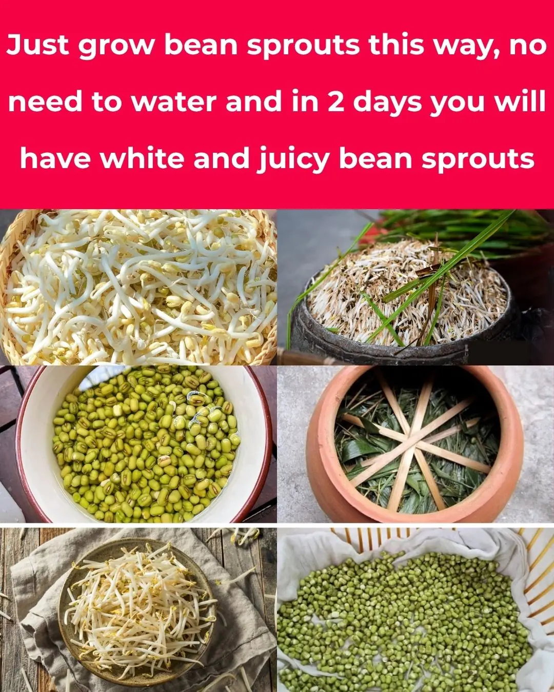 JUST MAKE THE RACK THIS WAY