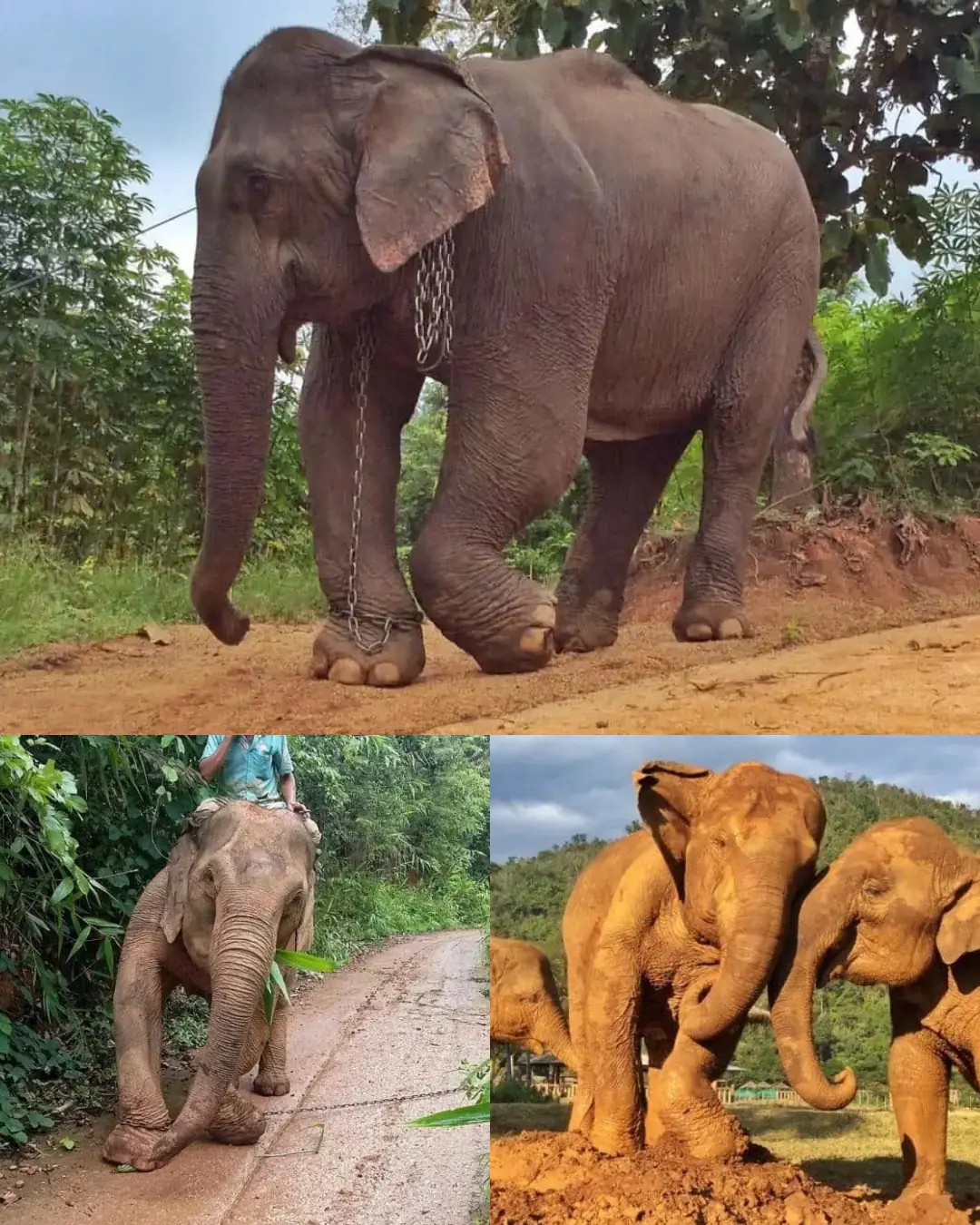 KaBu’s Last Day in Chains — and His First Day of Freedom.