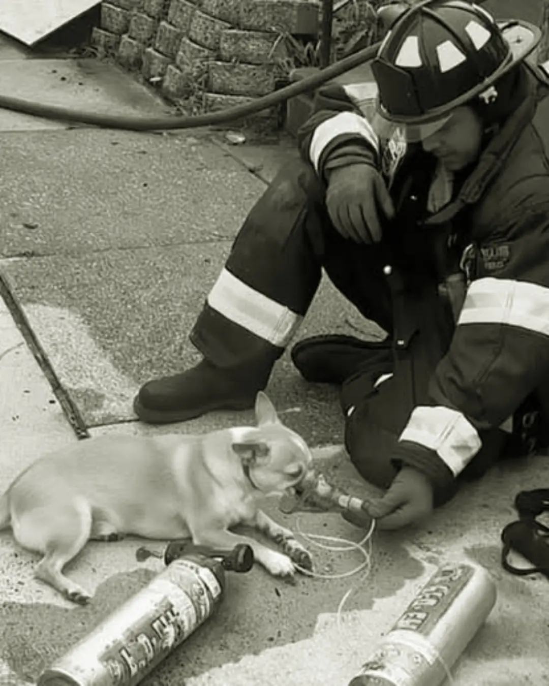 The Firefighter Who Chose Life Over Orders.