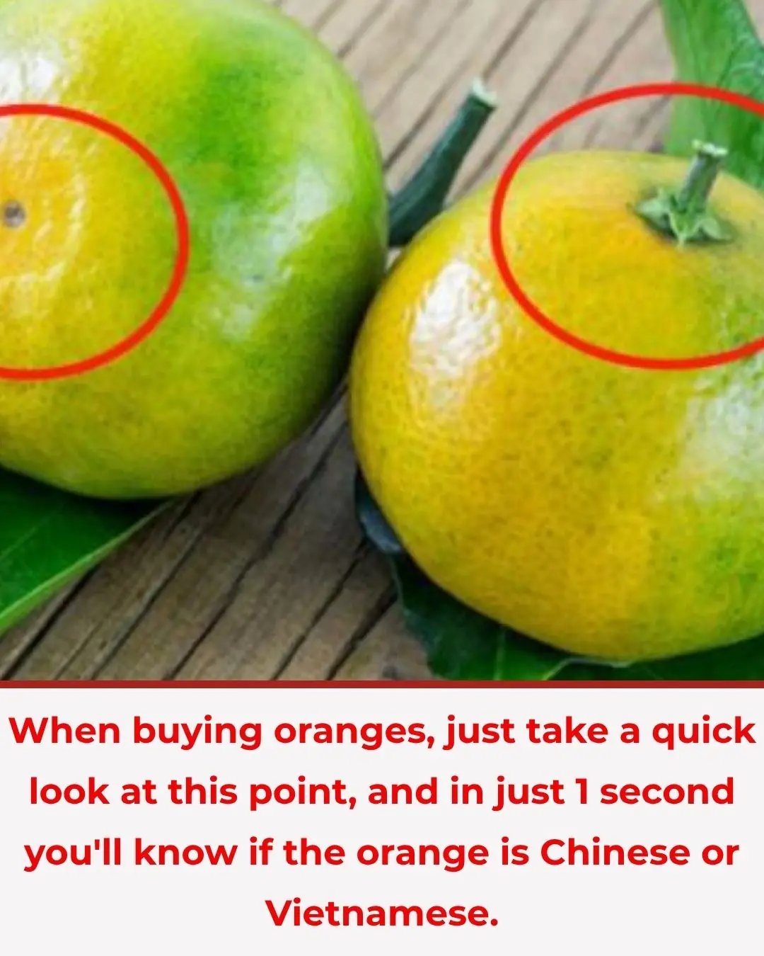 When buying oranges, just take a quick look at this point, and in just 1 second you'll know if the orange is Chinese or Vietnamese.