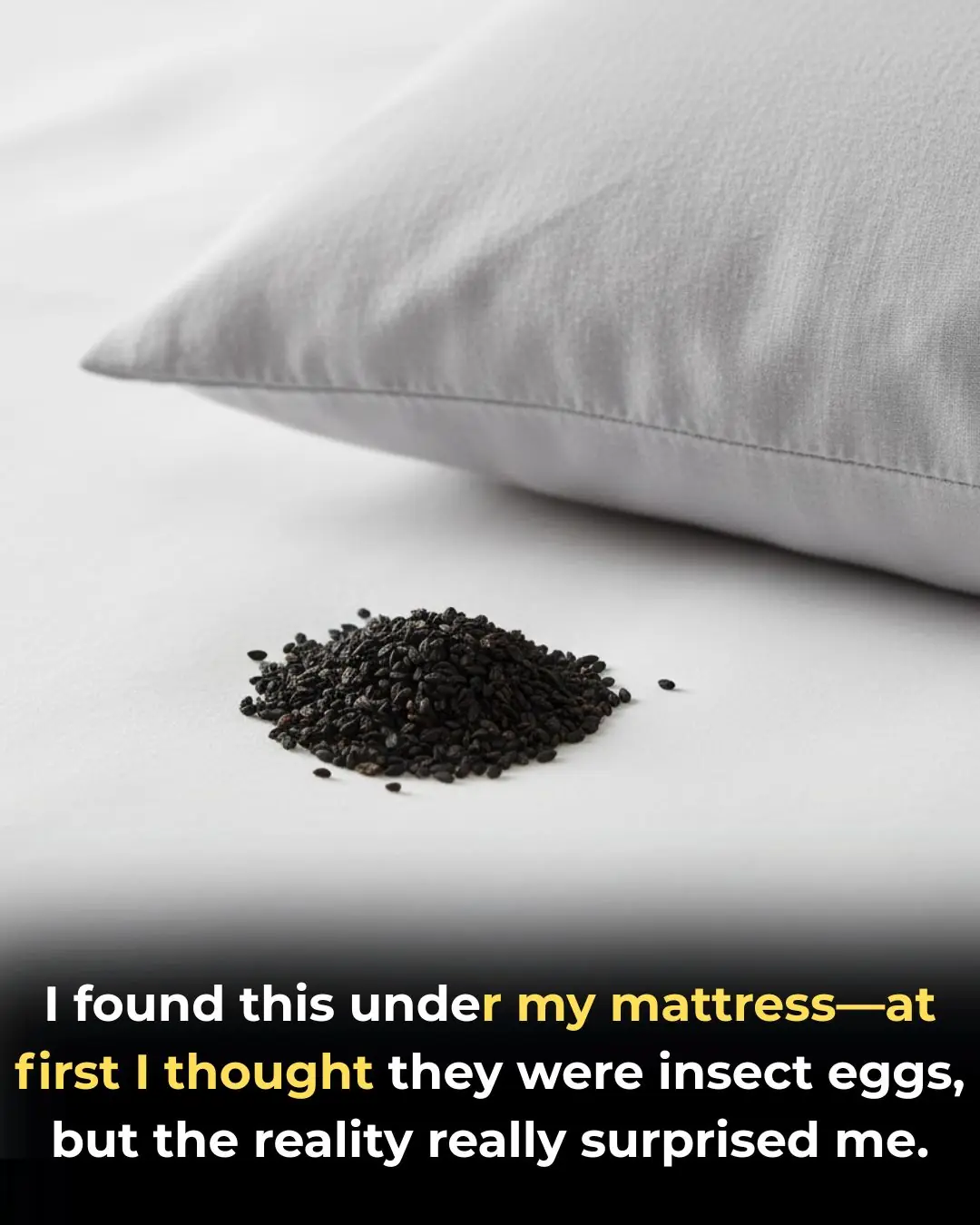 I Thought I Found Insect Eggs Under My Bed
