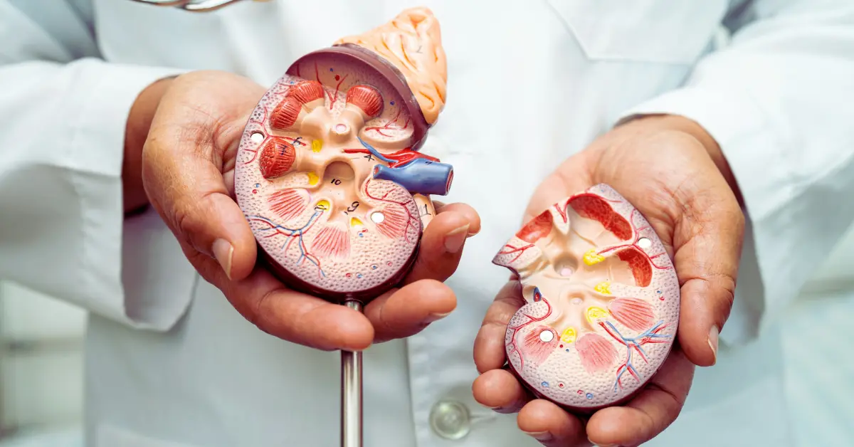 These 14 Foods Will Improve Your Kidneysā Ability To Detox Like Never Before!