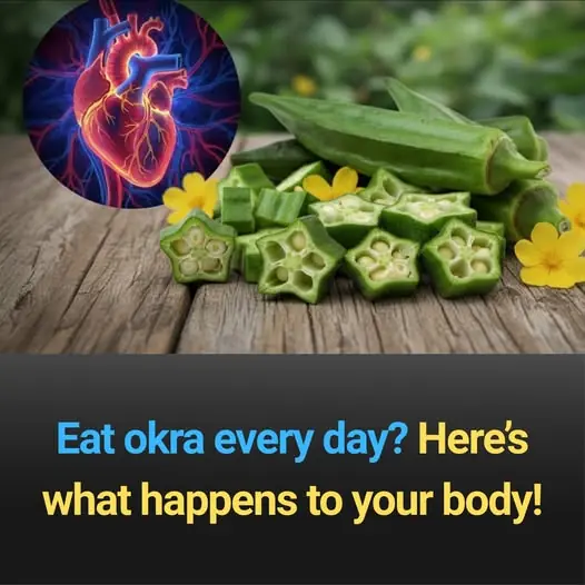Eat okra every day? Hereās what happens to your body!