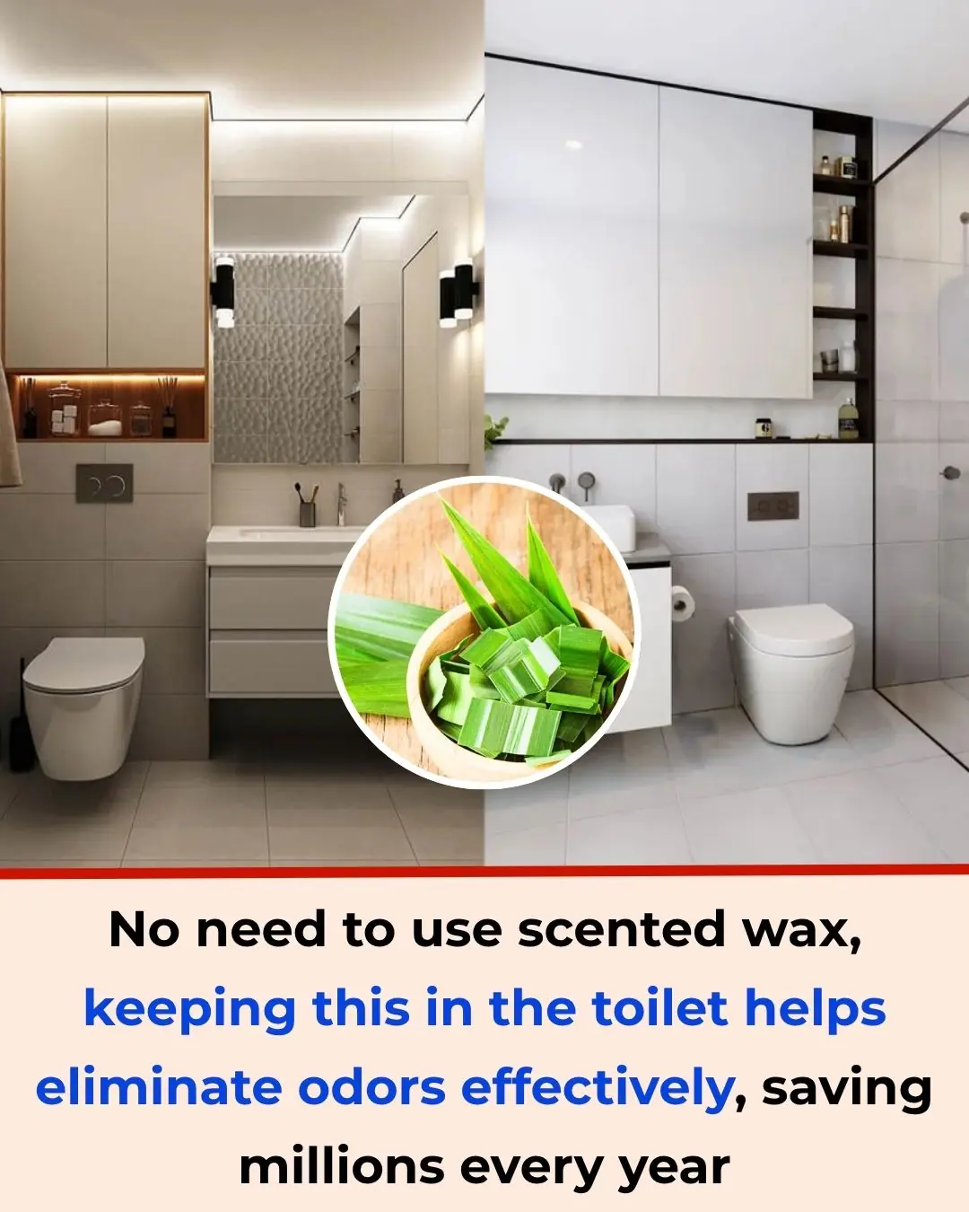 No Need for Air Fresheners: Keep This in Your Bathroom to Eliminate Odors and Save Hundreds Every Year